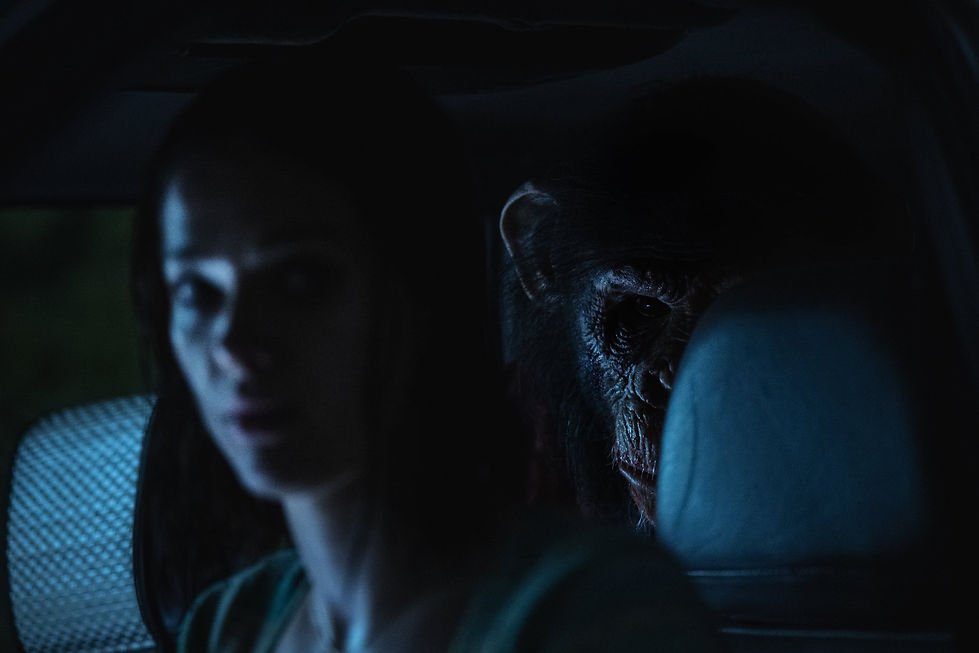 Jessica Alexander as Hannah sitting in a car with Miguel Torres Umba as Ben the chimpanzee behind her in Primate