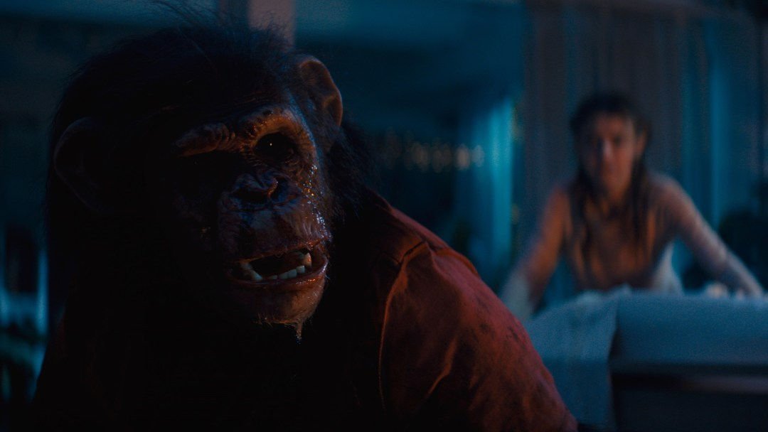 Miguel Torres Umba as Ben the chimpanzee drooling with a girl behind him blurred out in 'Primate'